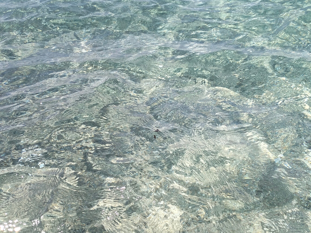 Lungomare San Ferdinando-San Ferdinando必去景点