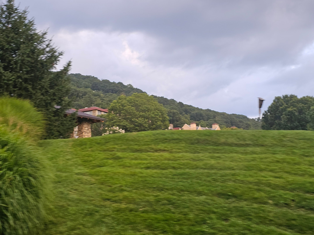 Gray Line Trolley Tours-阿什维尔必去景点