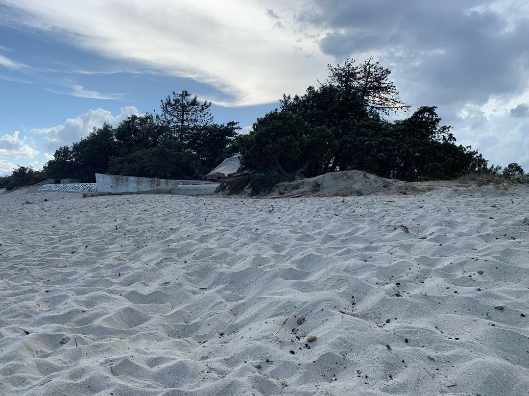 Plage De Casabianda-Aleria必去景点