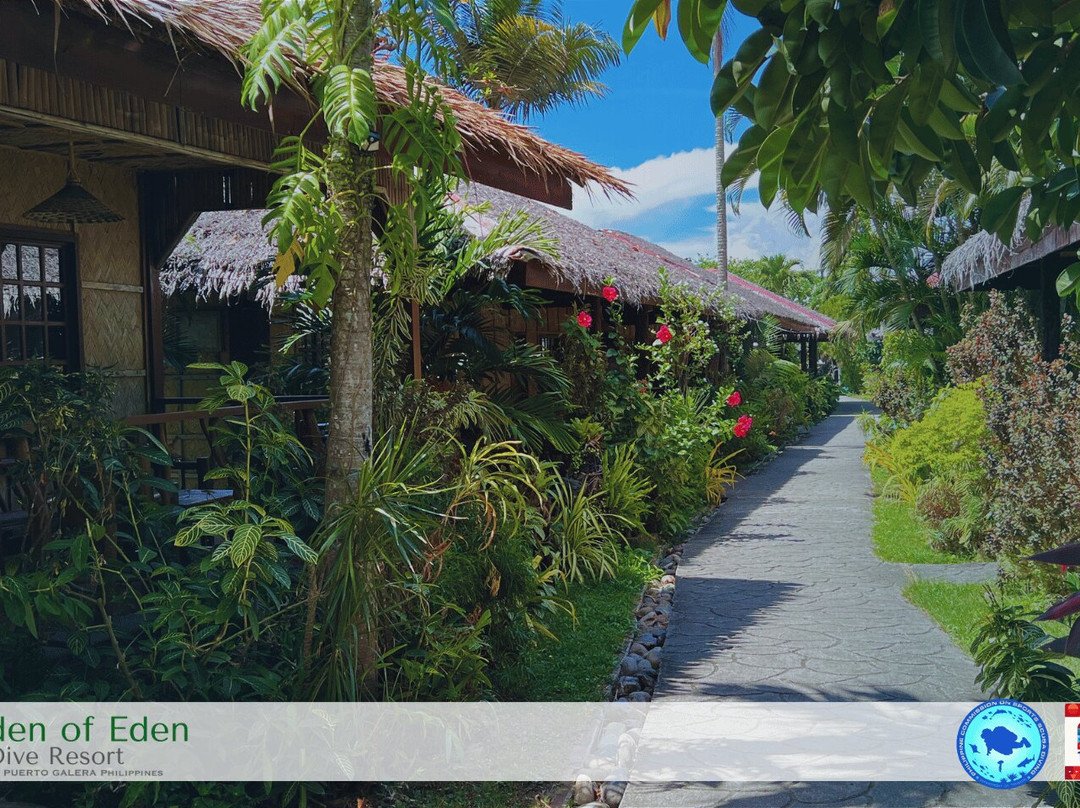Garden of Eden Dive Resort