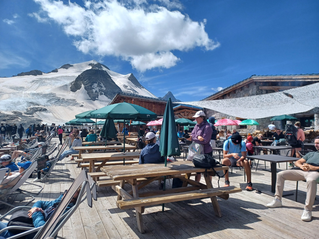 Glacier de la Grande Motte景点图片