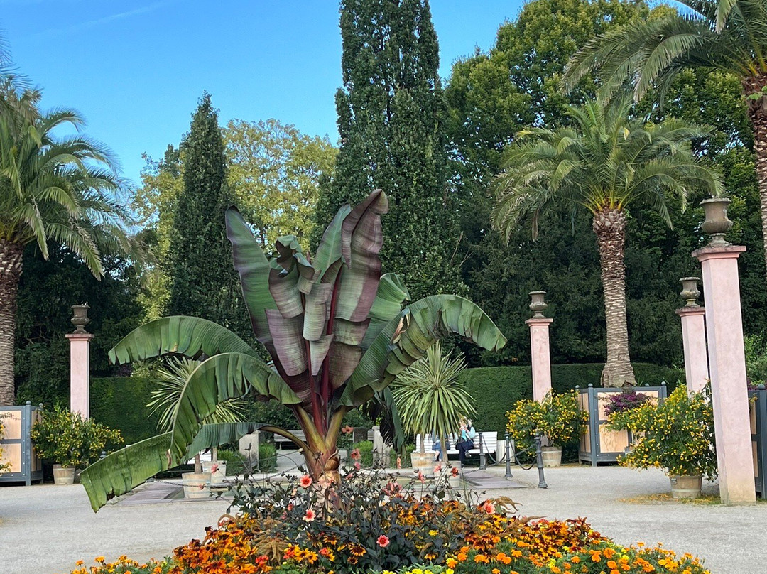 Bad Pyrmont Kurpark-Bad Pyrmont必去景点