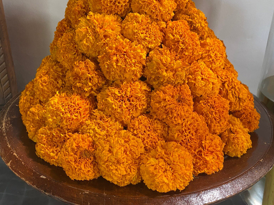 Amar Boutique Hotel主图