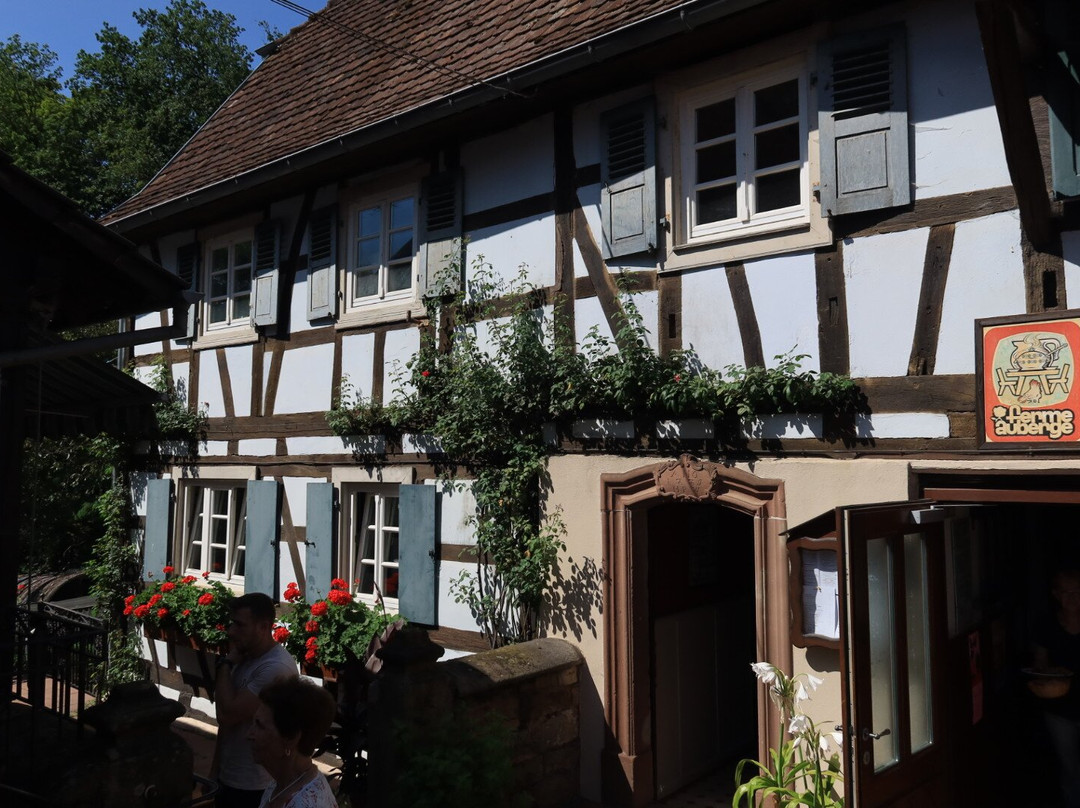 Ferme Auberge du Moulin des 7 Fontaines主图