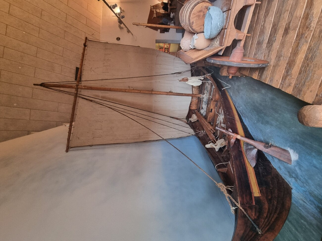 Museet Ribes Vikinger景点图片