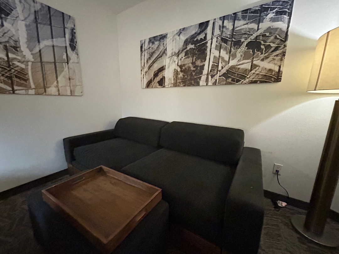 Springhill Suites By Marriott Columbia Fort Meade Area主图