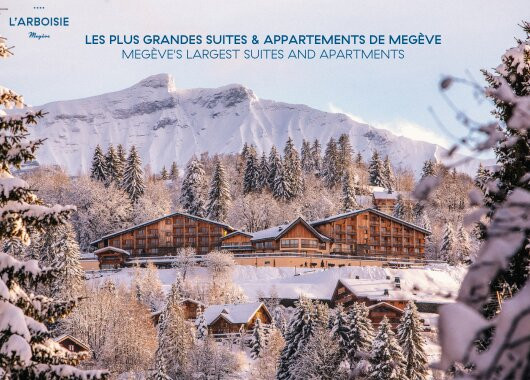 Hôtel L'Arboisie主图