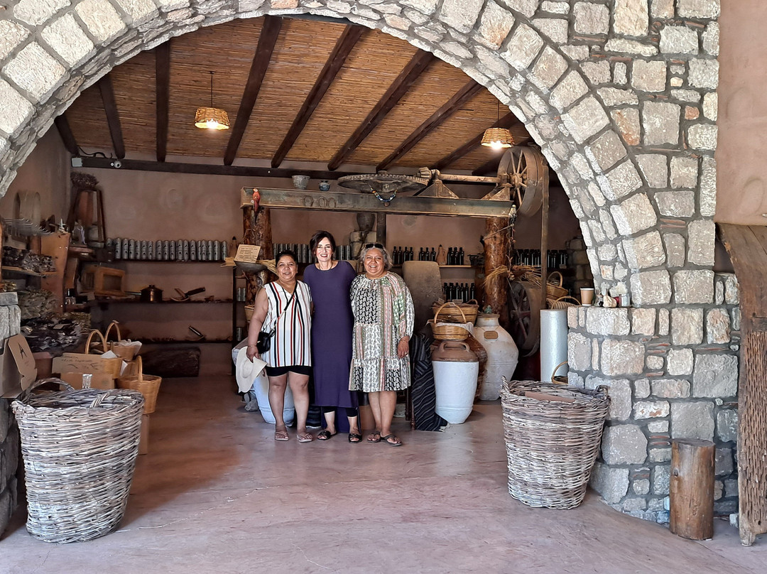 Olive Oil Factory景点图片