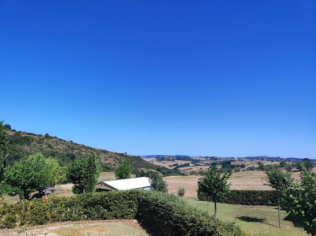 Agriturismo Fontefredda主图