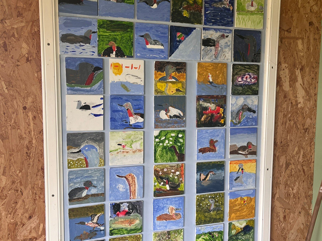 RSPB Birsay Moors-Evie必去景点
