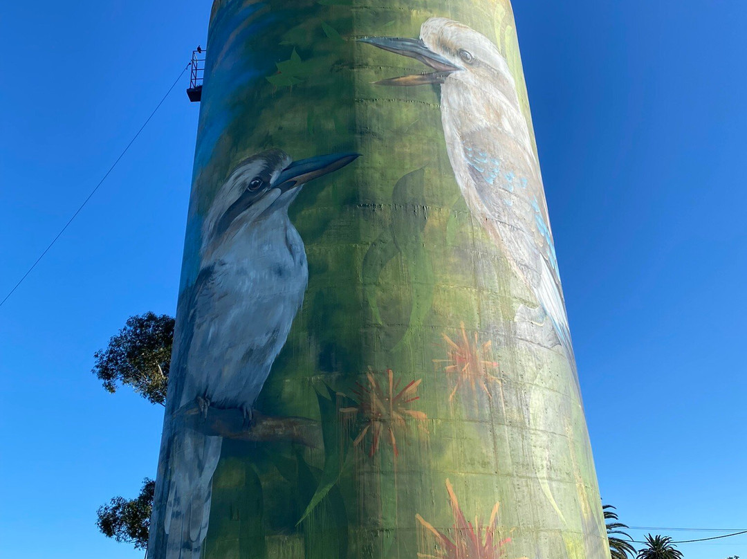 Deniliquin Water Tower Mural-Deniliquin必去景点