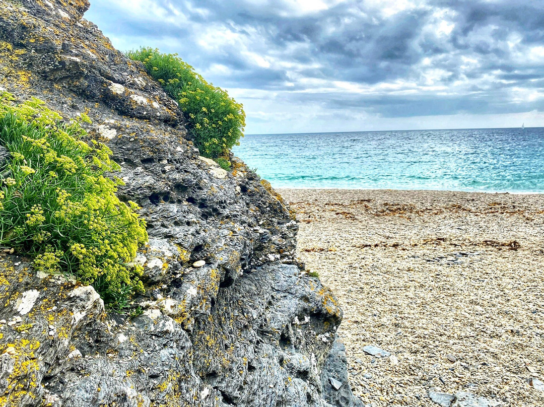 Lantic Bay-Lansallos必去景点