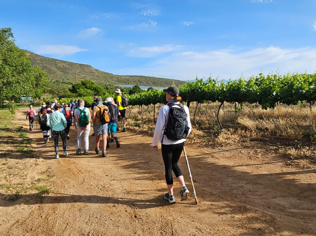 Fossil Hills - Accommodation - Venue - Wine Walks-McGregor必去景点