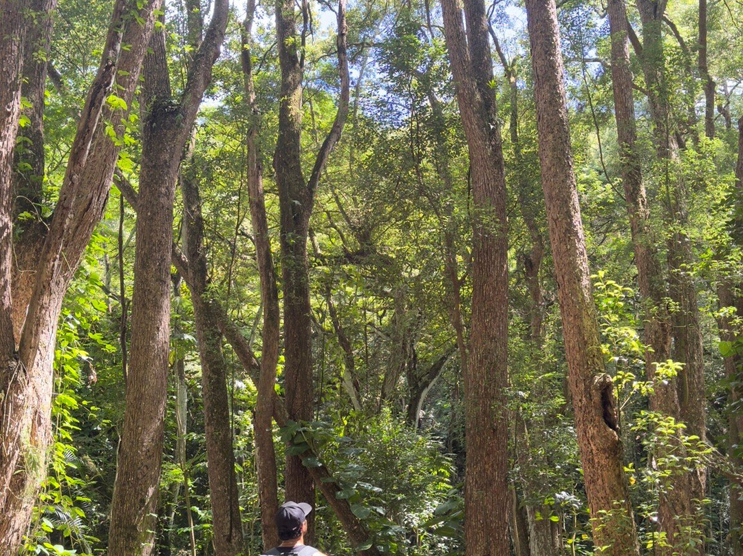 Ho'olalaea Waterfall-卡帕阿必去景点