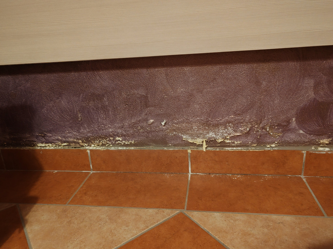 Mi Casa Affittacamere主图