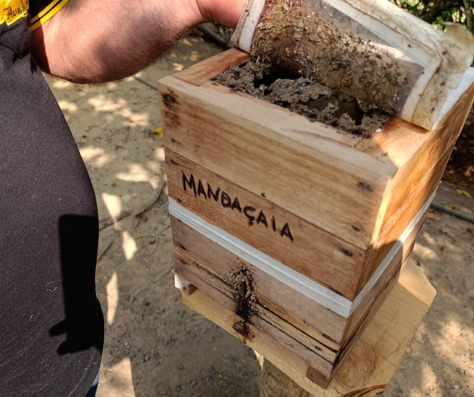 Apiário Flores da Serra-蒙特贝尔德必去景点