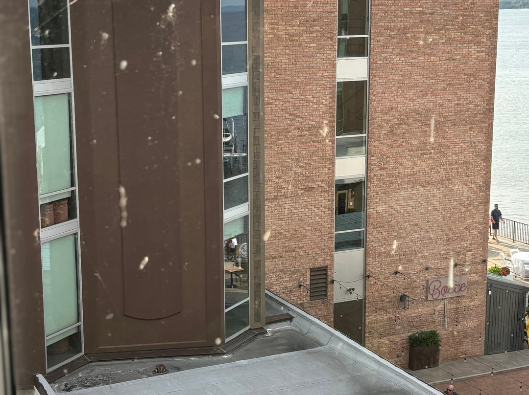 Delamar Traverse City主图