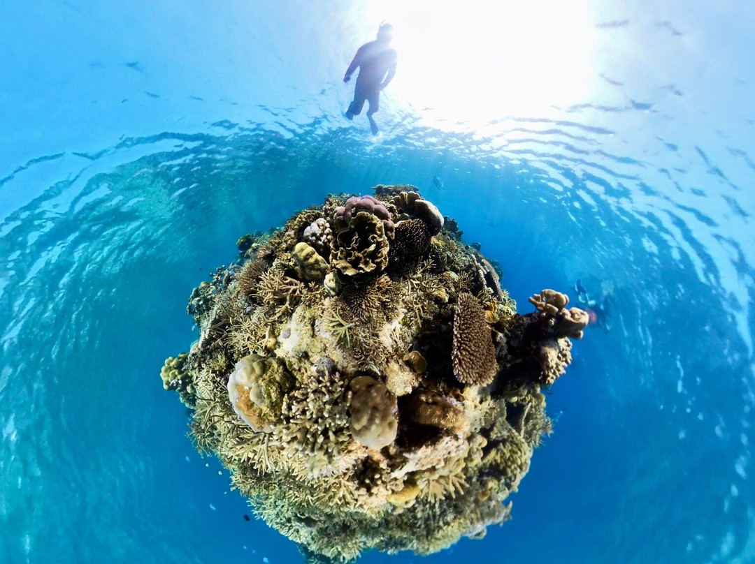 Southern Sea Ventures景点图片