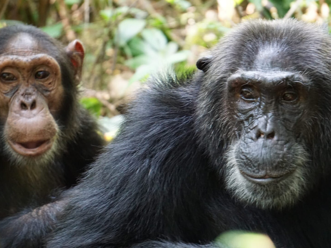 Exclusive African Safaris-Wakiso必去景点