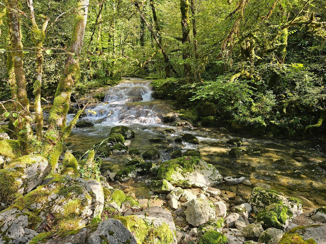 Cascade de la Charabotte-Hauteville-Lompnes必去景点