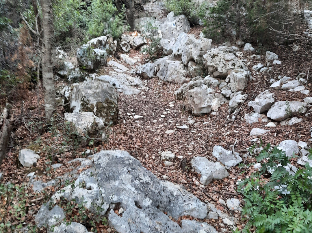 The Cypress Trail-菲斯卡尔宗必去景点