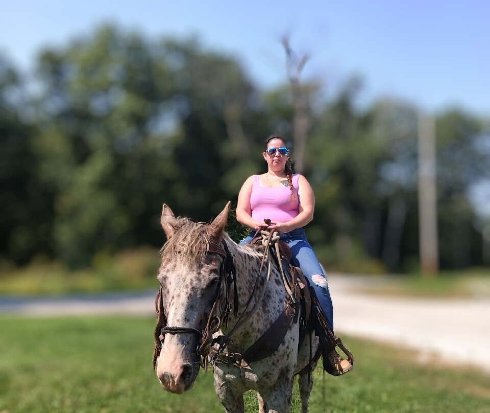 Mountain Valley Farm-Millerton必去景点