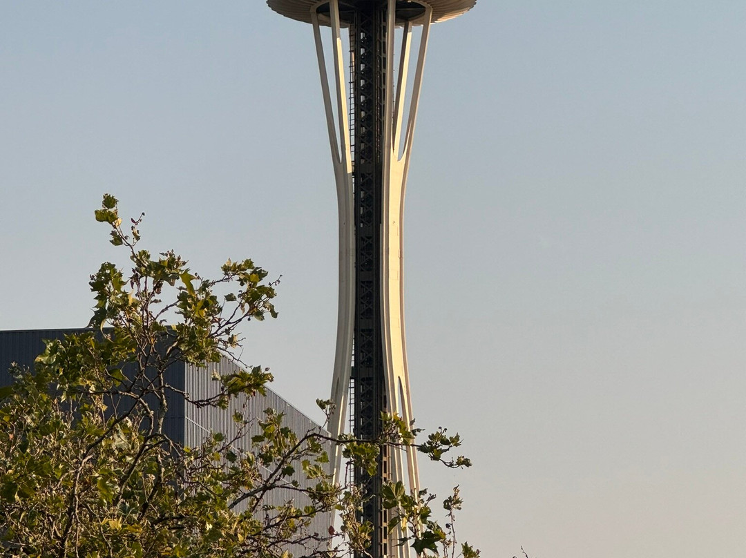 麦克斯韦酒店-菠萝招款待主图