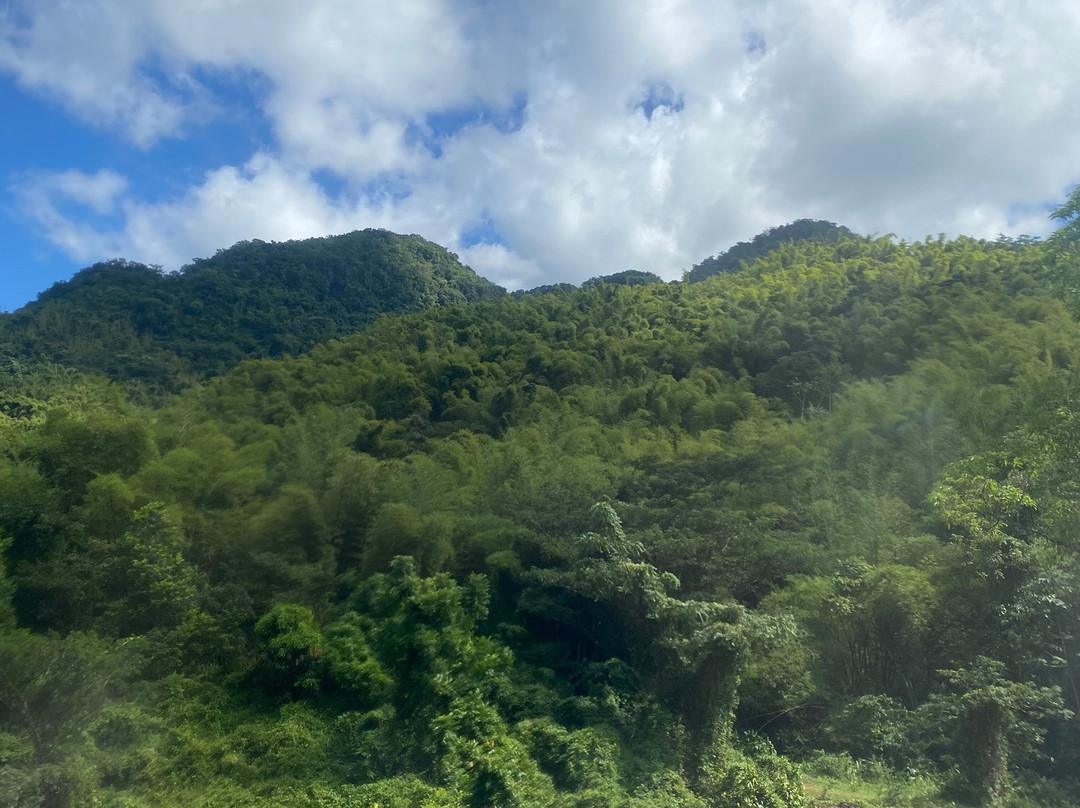 Reggae Style Mayfield Falls景点图片