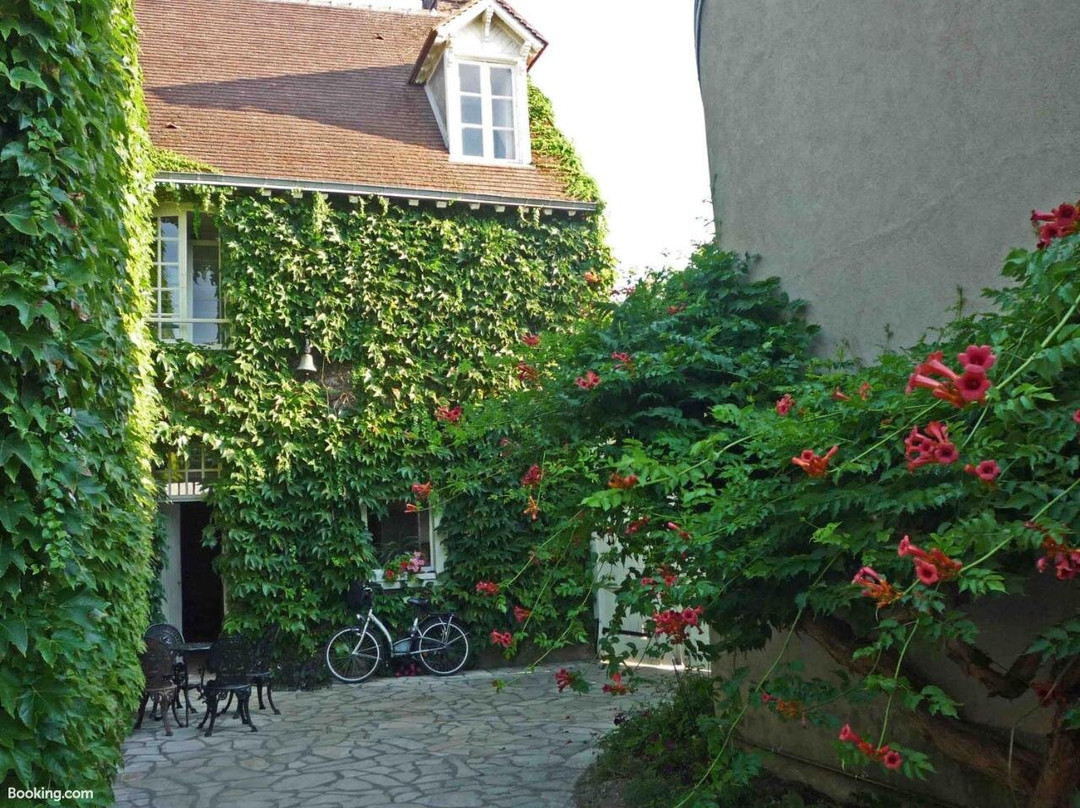 La Vigne Vierge主图