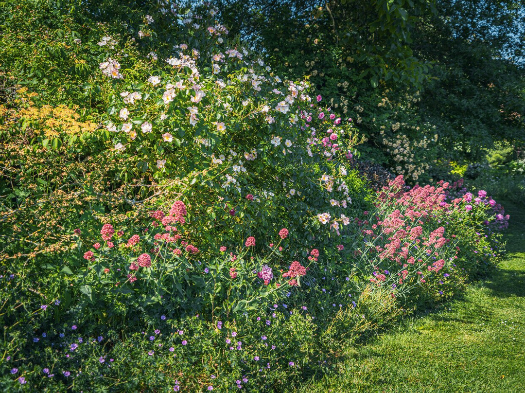 Le Jardin De Marie主图