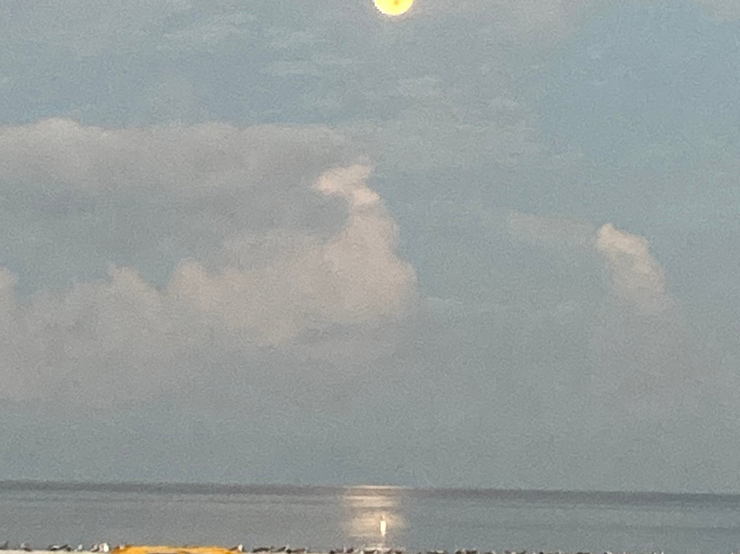 Plaza Beach Hotel - Beachfront Resort主图