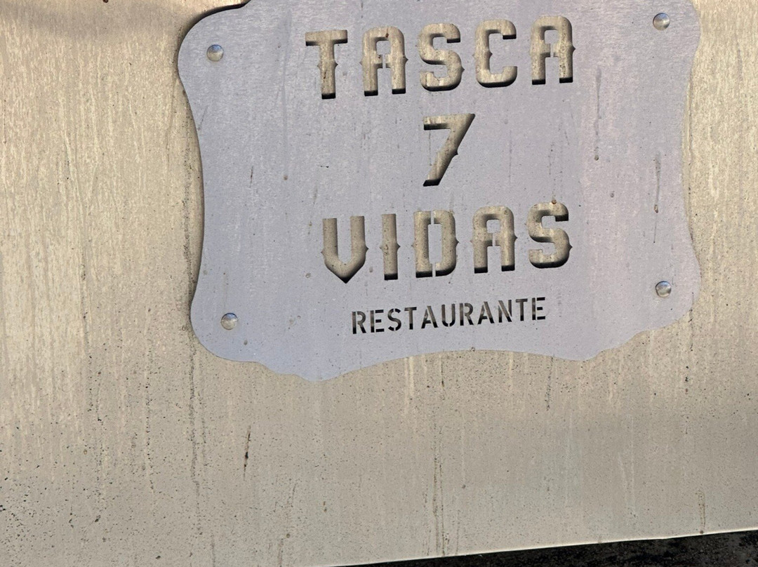 Tasca 7 vidas
