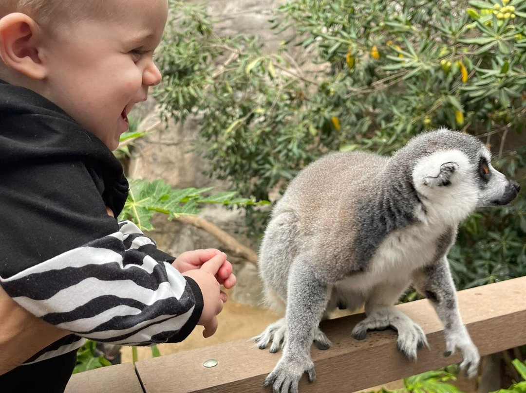 Alameda Wildlife Conservation Park-直布罗陀必去景点