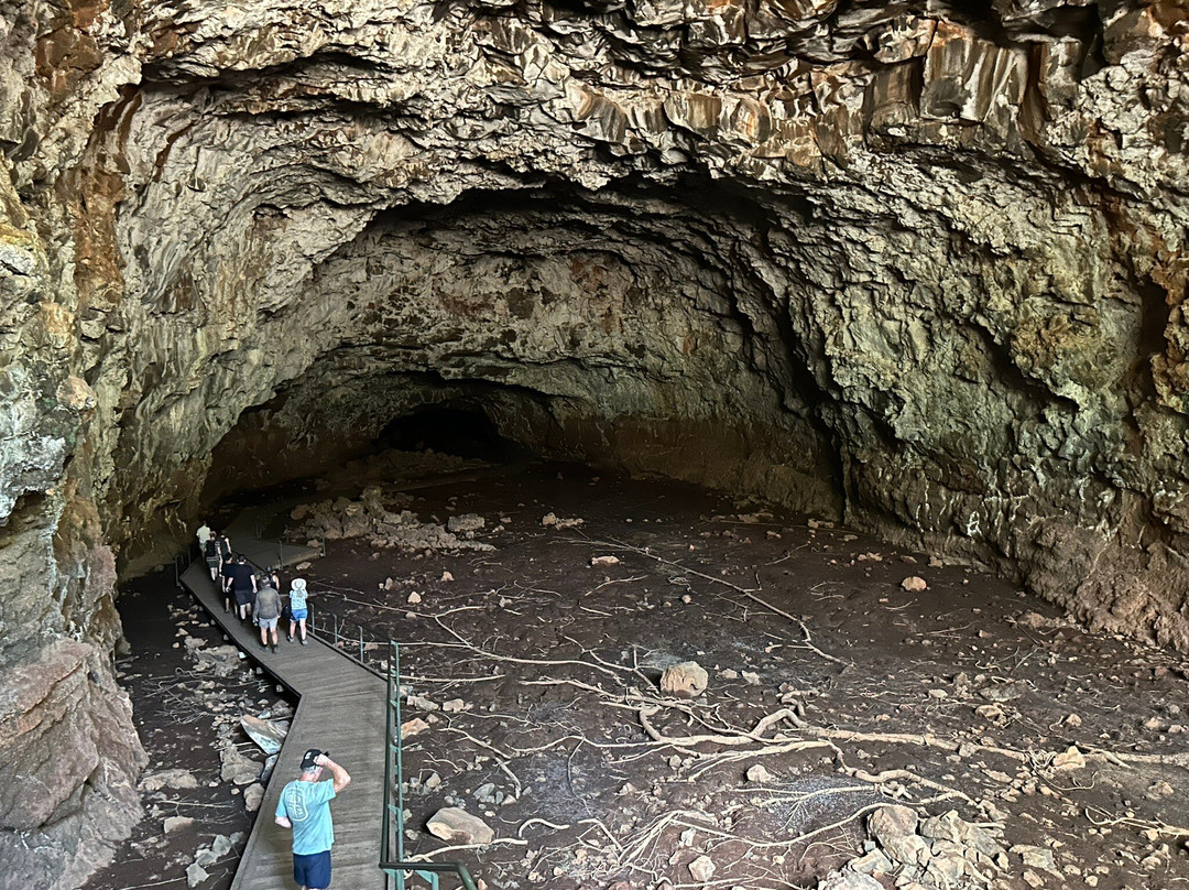 Undara Experience-Mount Surprise必去景点