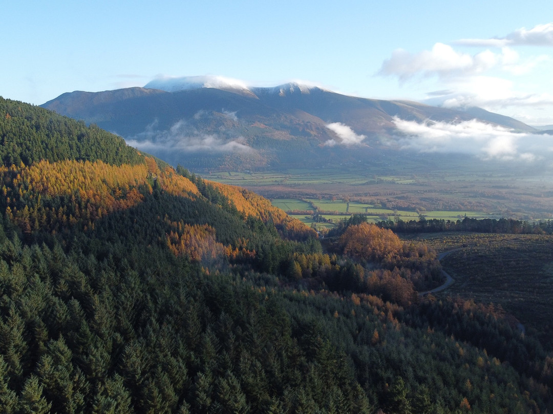 Whinlatter Forest景点图片