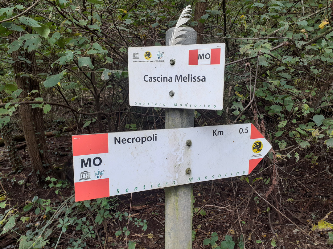 Area Archeologica Monsorino di Golasecca-Golasecca必去景点