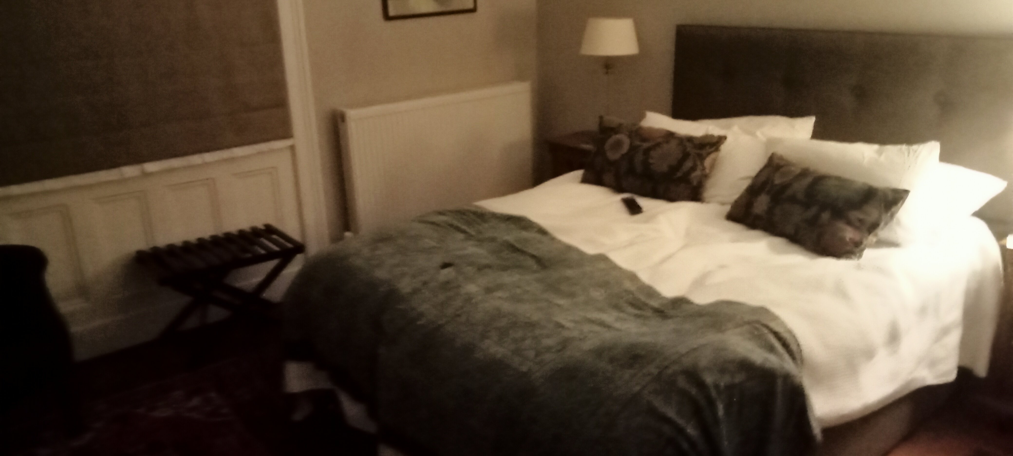 The Lions Bed and Breakfast-官方