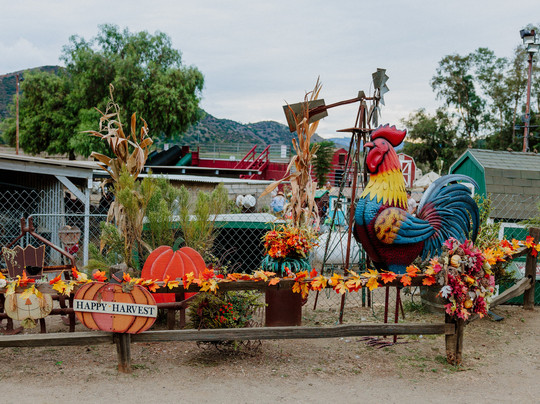 Oma's Family Farm-Lakeside必去景点