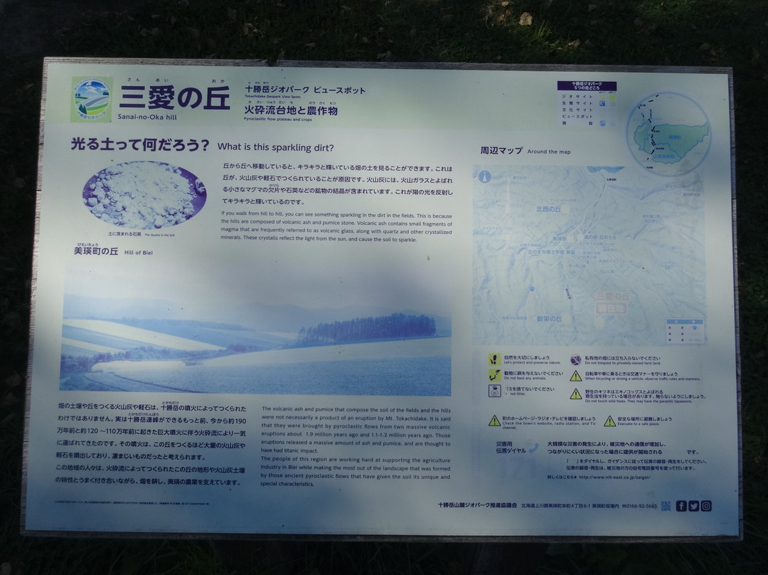 Sanai no Oka Park-美瑛町必去景点