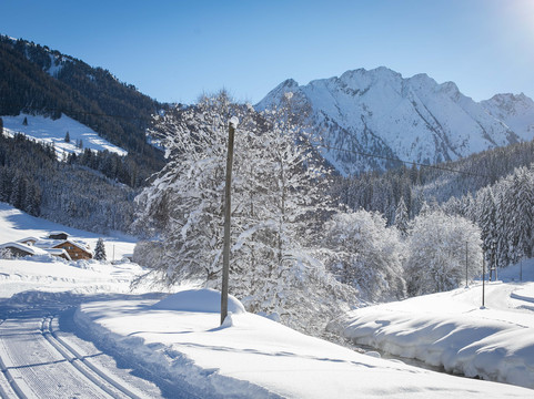 Traumhotel Alpina主图