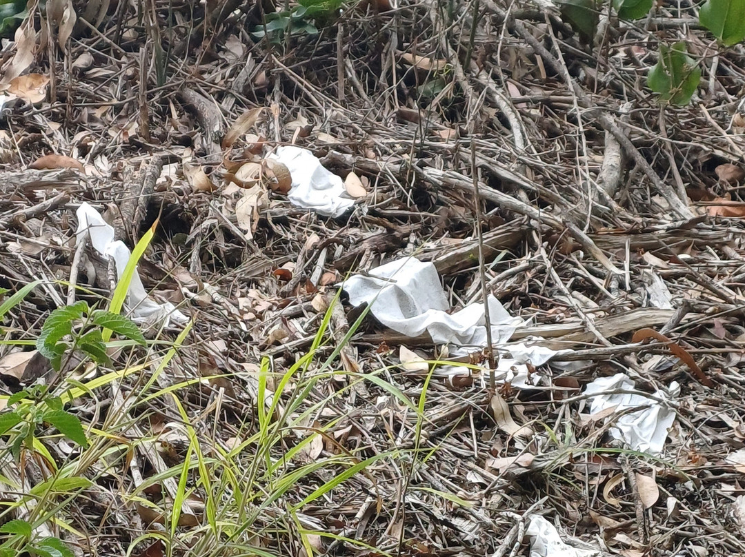 Glen Lomond Park景点图片