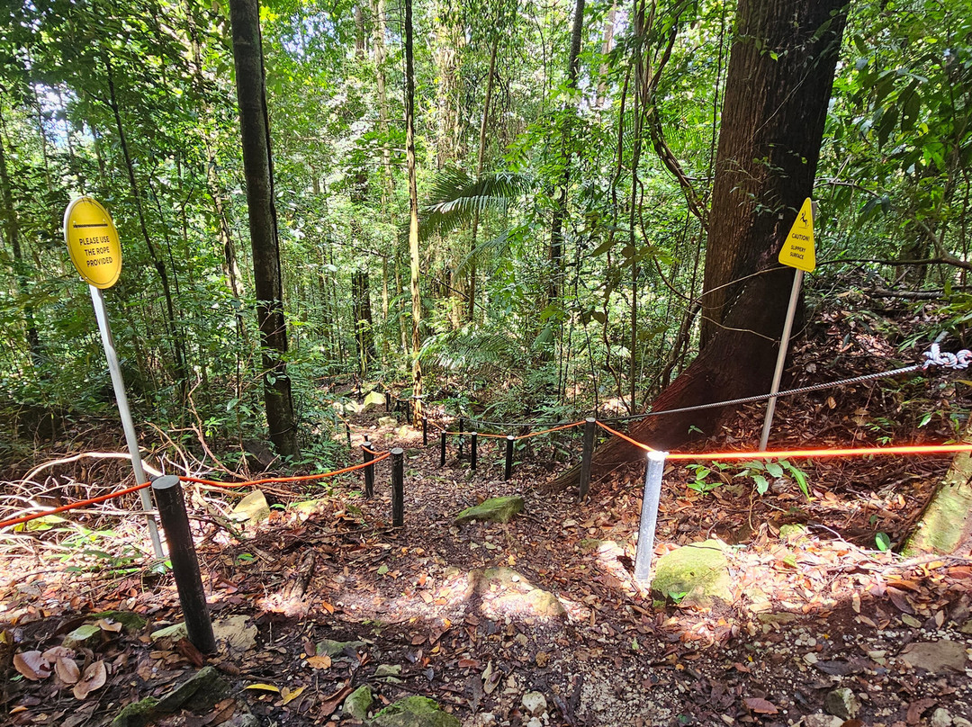 Bukit Patoi Forest Recreation Park-Bangar必去景点