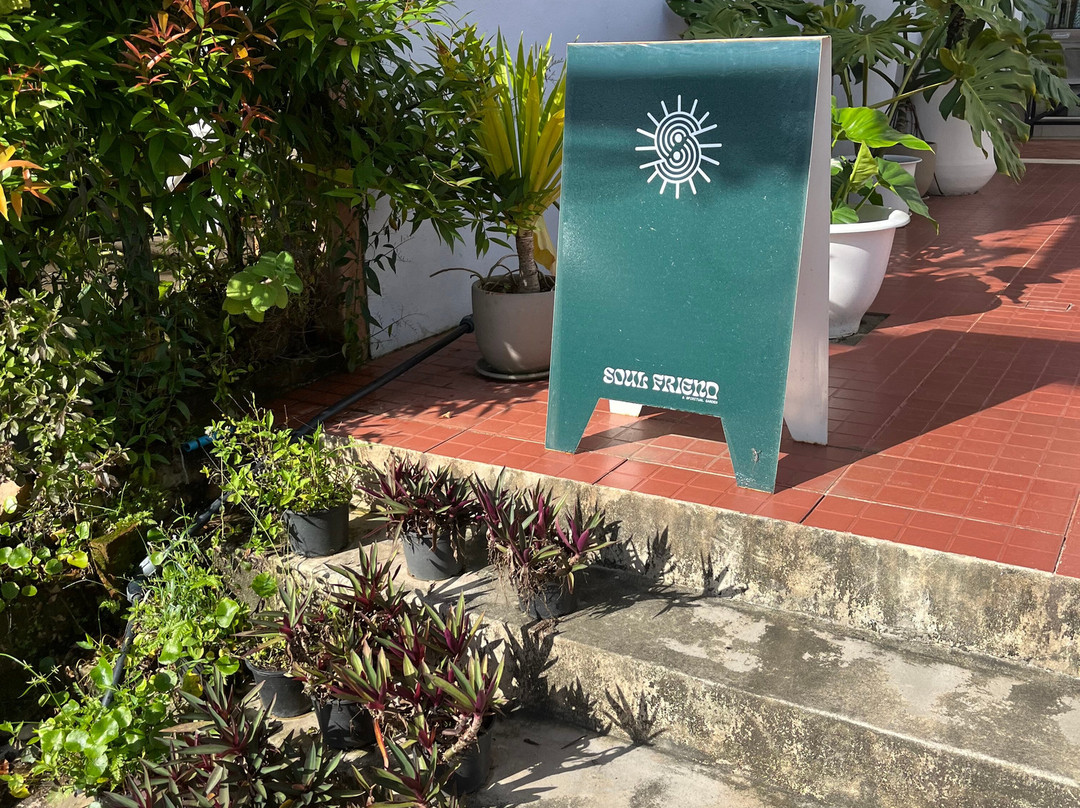 Soul Friend & Spiritual Garden