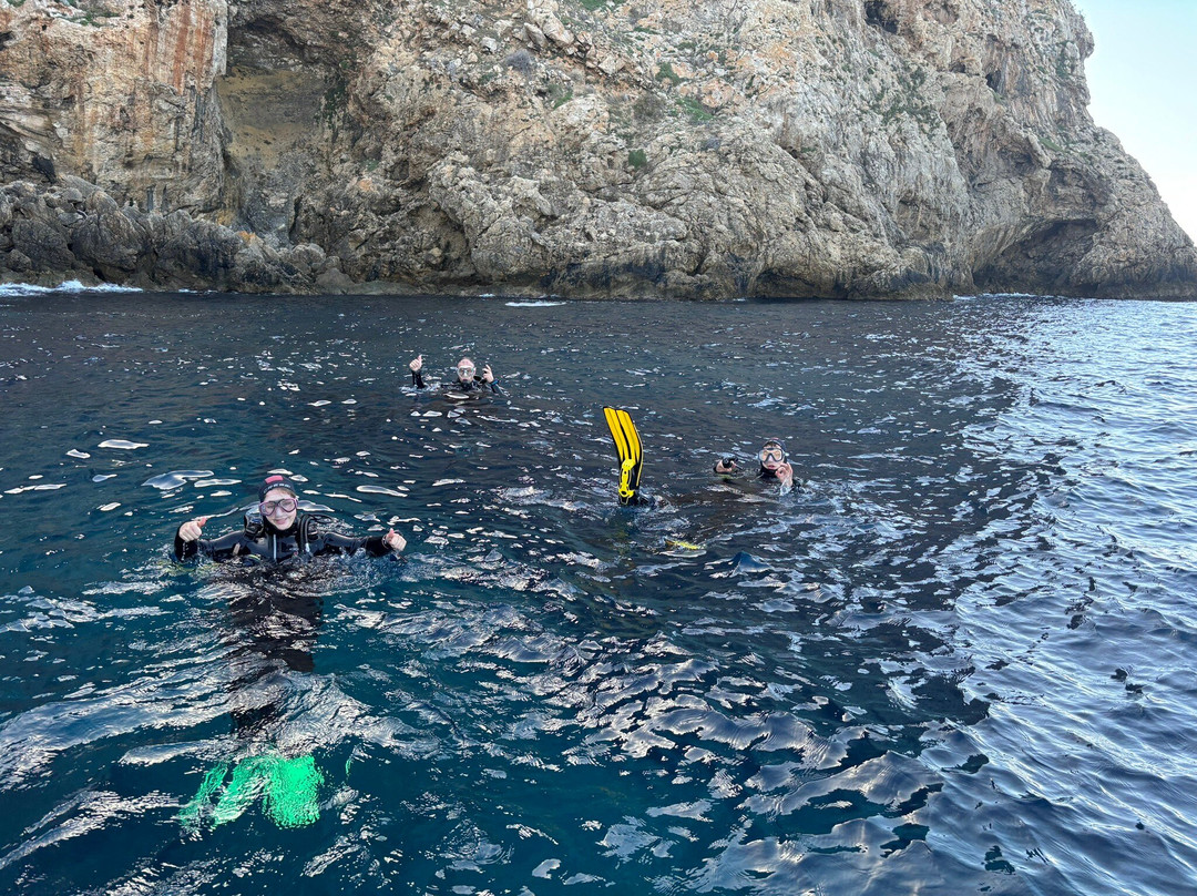 Diving dragonera-Port d'Andratx必去景点