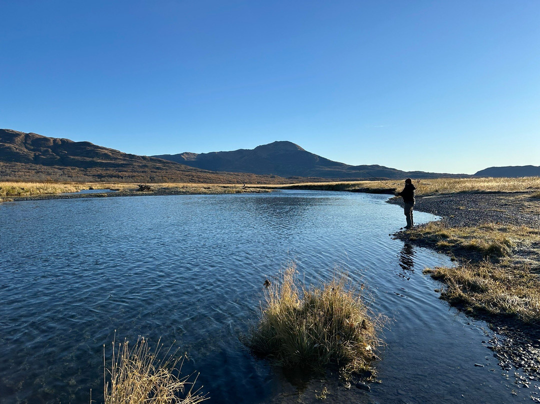 Head Shakers Kodiak-Kodiak必去景点