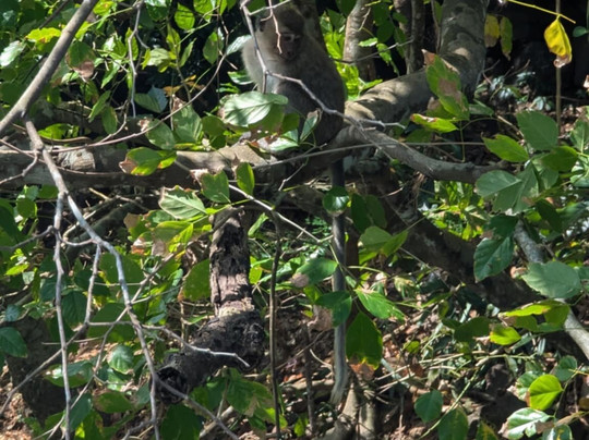 Jade Boat-蓝湾必去景点