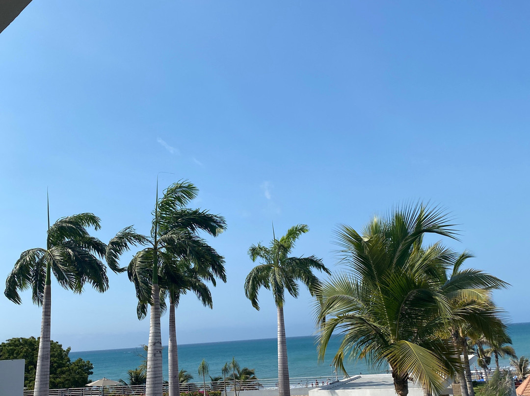 Oro Verde Manta主图