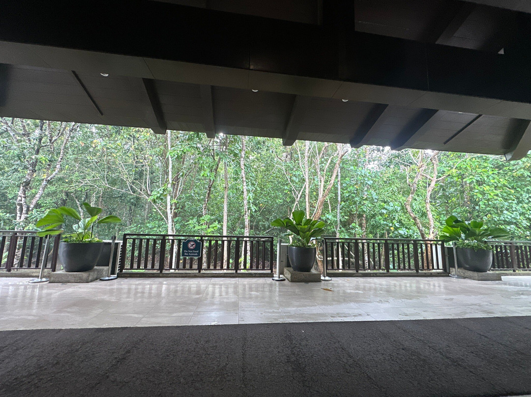 El Nido Airport景点图片
