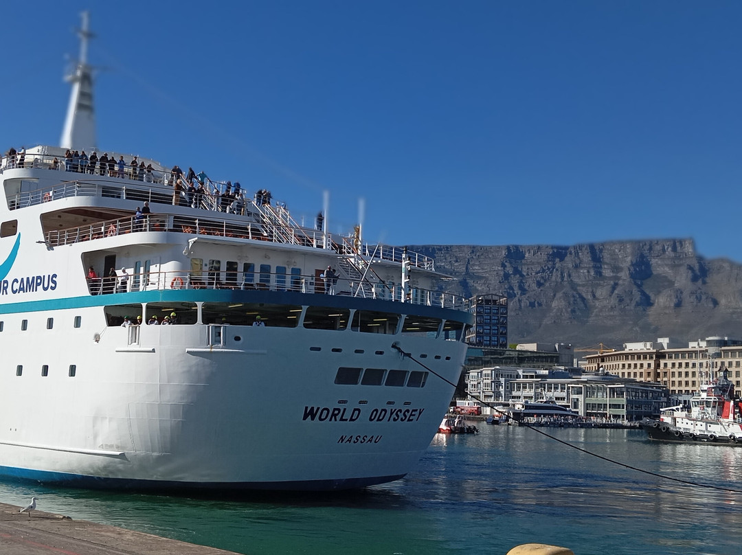 Explore the Cape Tours & Safaris-开普敦中心区必去景点