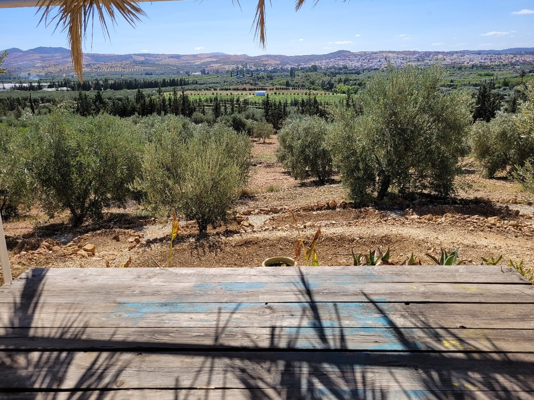 Verger des Montagnes主图